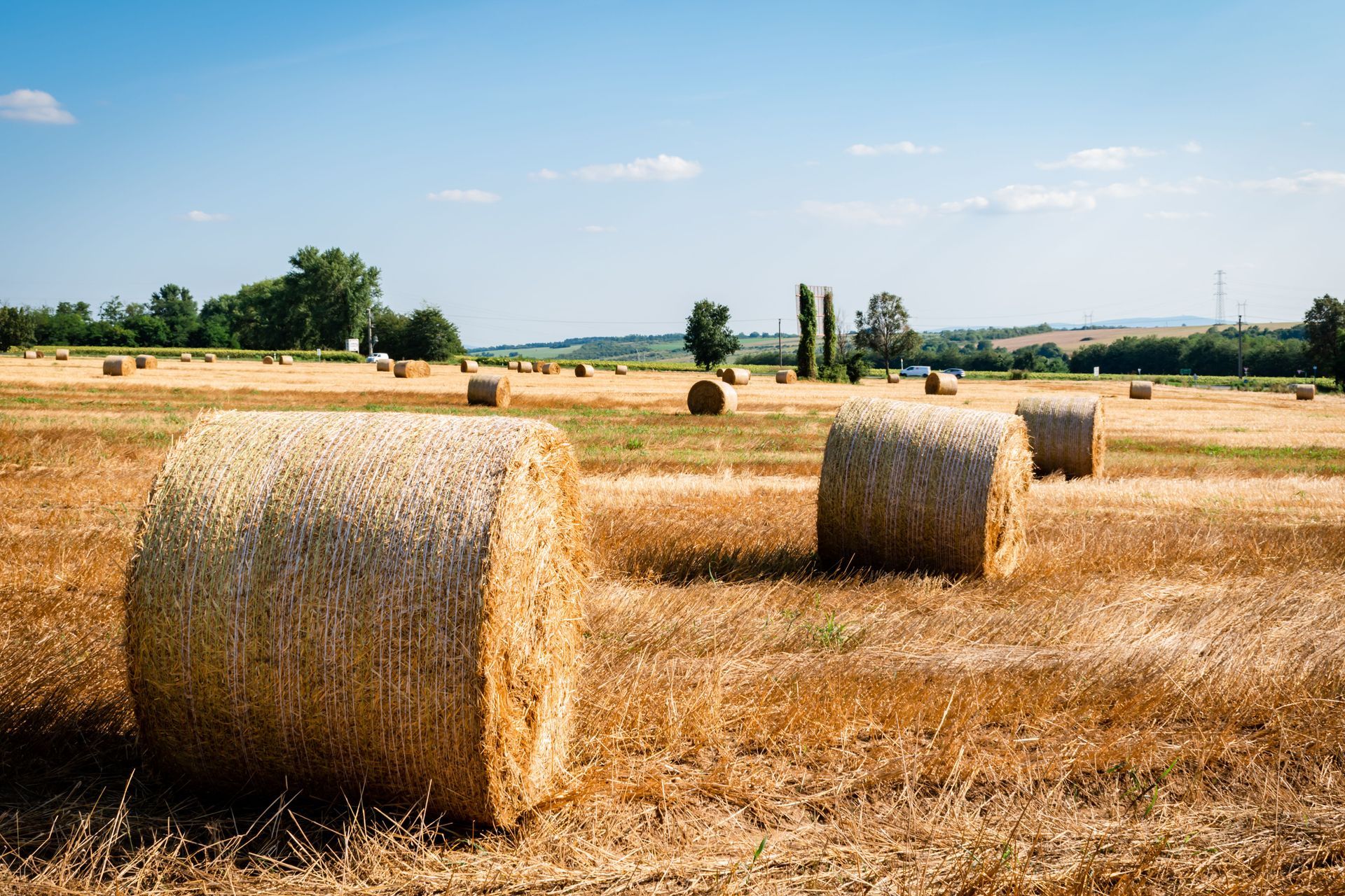 Round hay bales sitting in a freshly cut North Texas hay field under a bright blue sky after baling