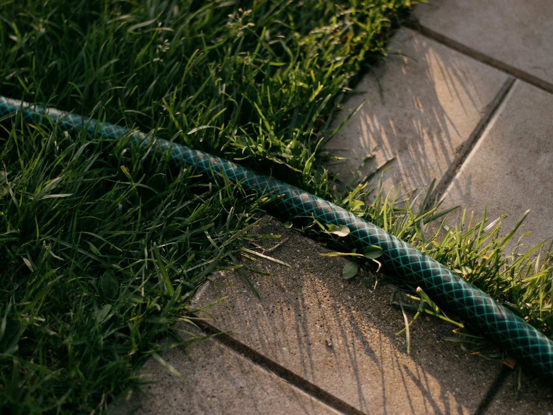 Garden hose stretched along the edge of a lawn beside a house, the summer watering that keeps clay from shrinking