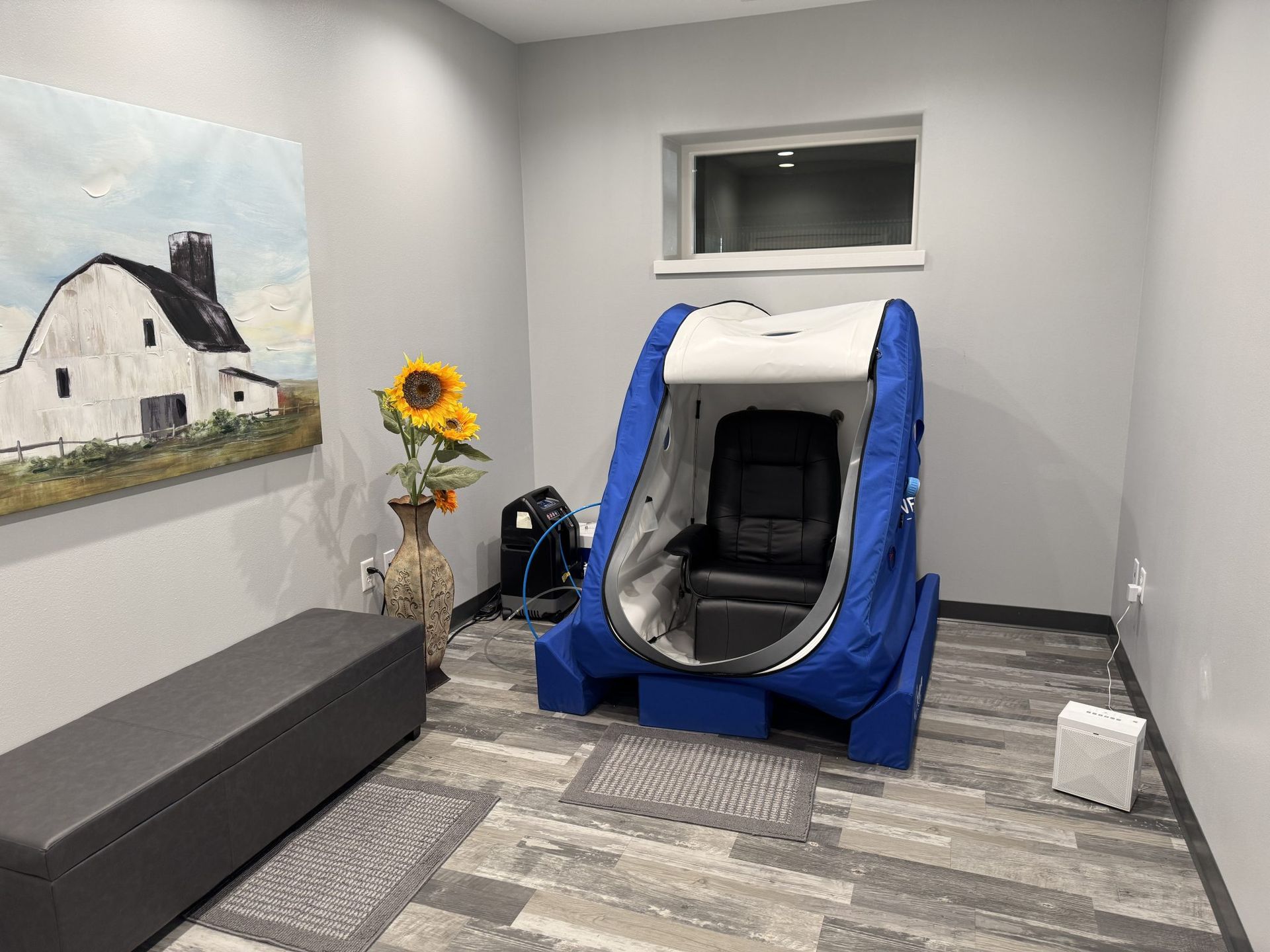 Small room with a blue-framed enclosed chair, gray bench, sunflower vase, and painting on the wall.