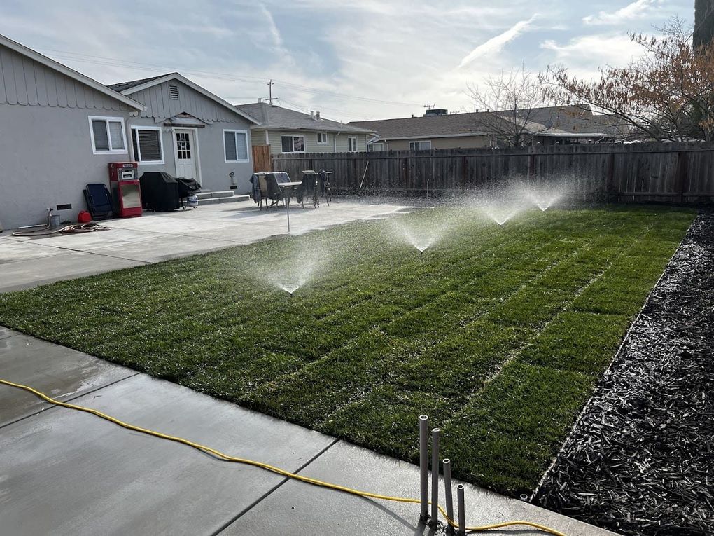 Finished lawn renovation completed by Drago Inc. in Stockton, CA