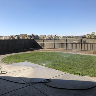 Natural grass installed in a Ripon, CA residential yard