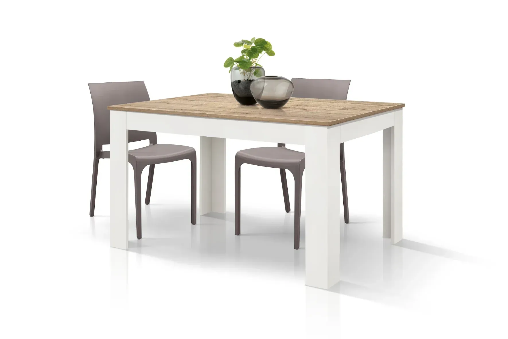Tavolo da pranzo moderno con quattro sedie e una piccola pianta come centrotavola.