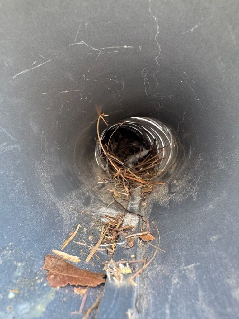 A dark pipe opening with tangled twigs and debris inside, showing a clogged drain or vent.