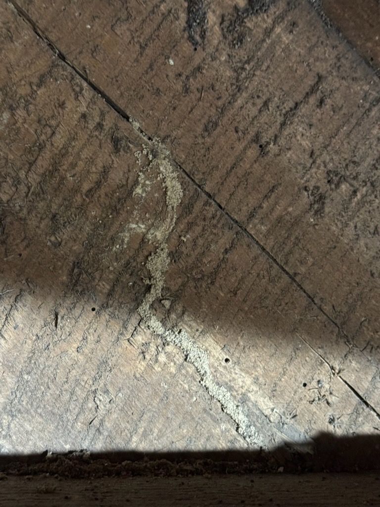 Close-up of a cracked, weathered brown and gray concrete surface with a dark shadow.