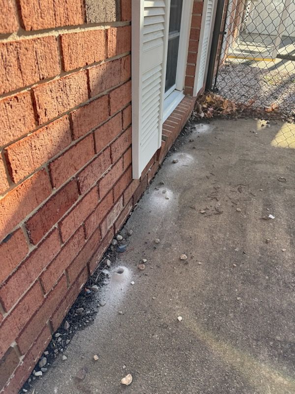 Red brick building wall with concrete sidewalk. White spots and debris visible along the wall's base.