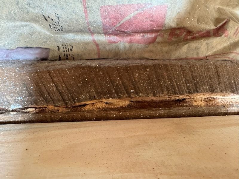 Wooden beam showing damage, possibly from water or insects, with insulation visible above.