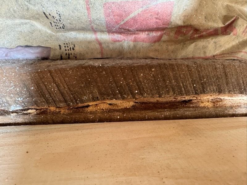 Close-up of wood with visible saw marks and possible water damage, near insulation and plywood.
