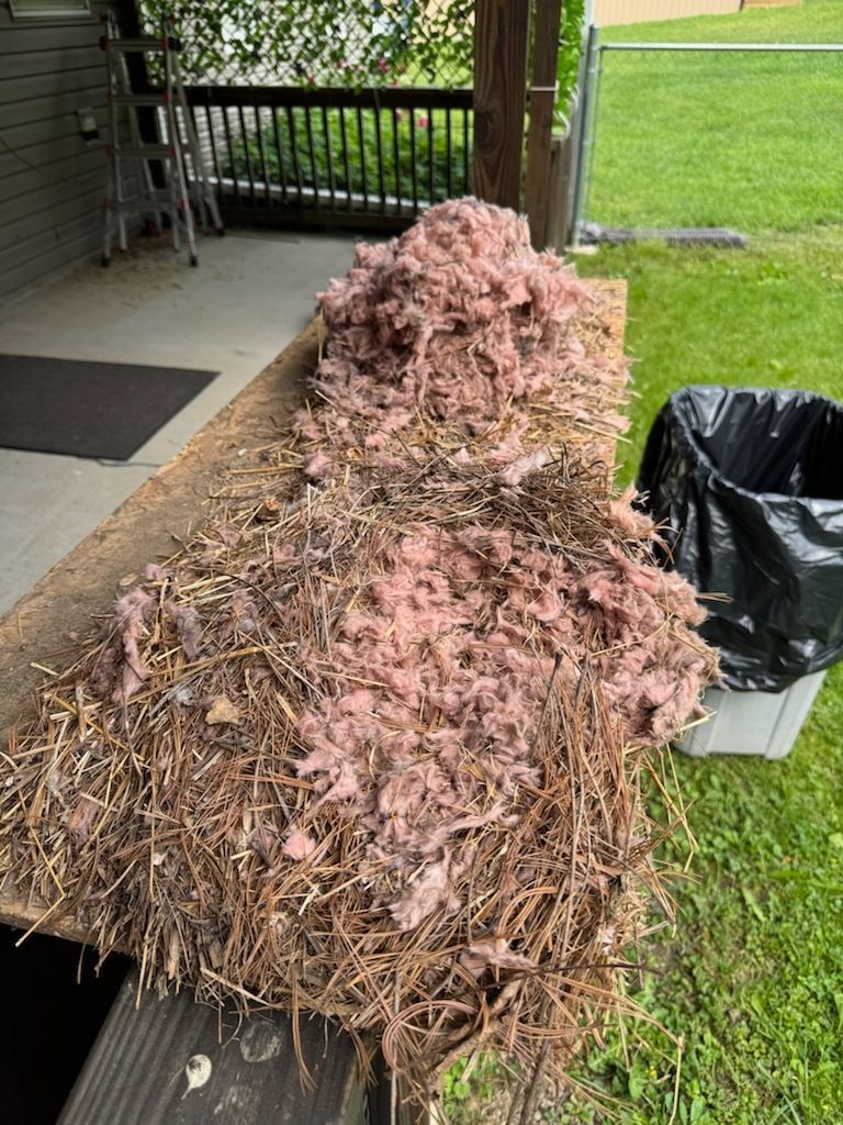 Pile of pink insulation and straw on a wooden surface, next to a black trash bag on green grass.