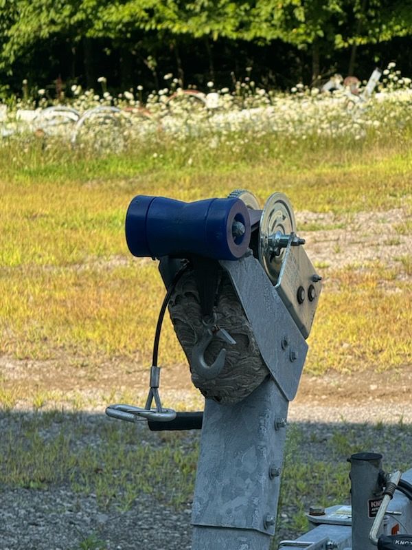 Blue coin-operated telescope on a concrete pedestal in a grassy outdoor area.