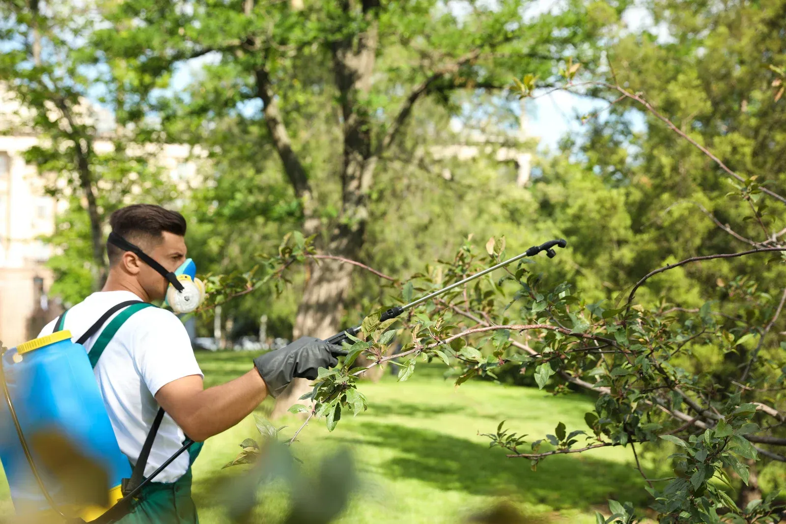 A man is spraying a tree with a sprayer in a park.