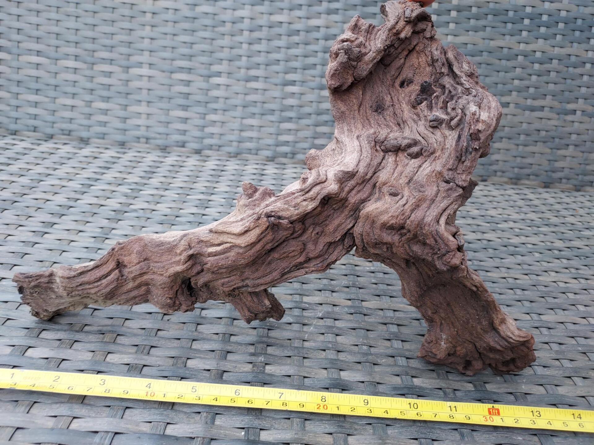 Petrified Wood