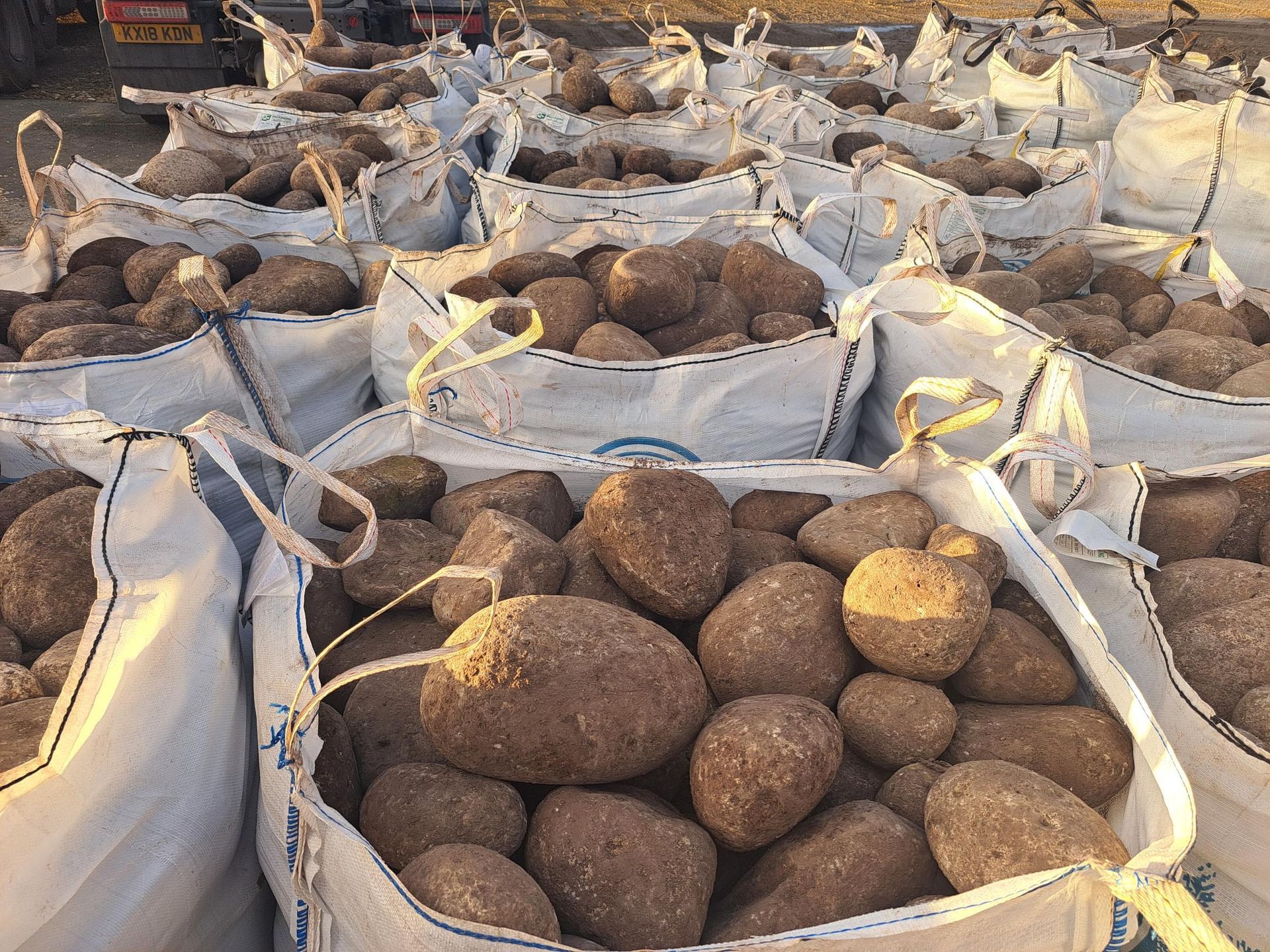 Celtic boulders