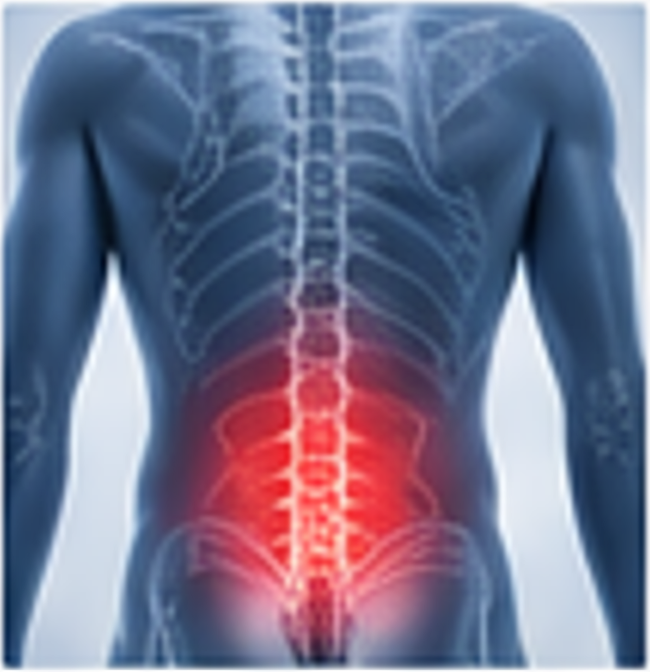X-ray-style back view with red-highlighted lower spine and pelvis, indicating lower back pain