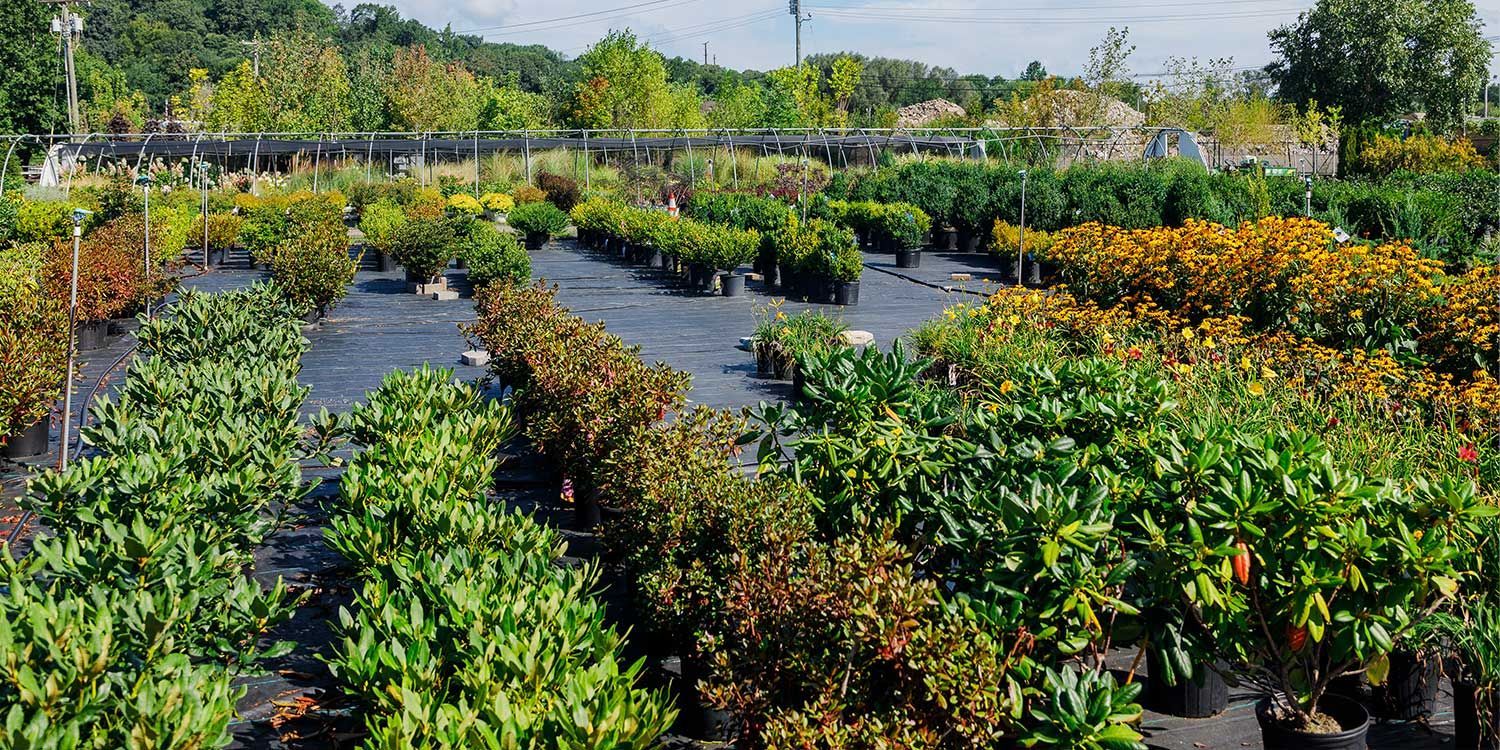 NURSERY