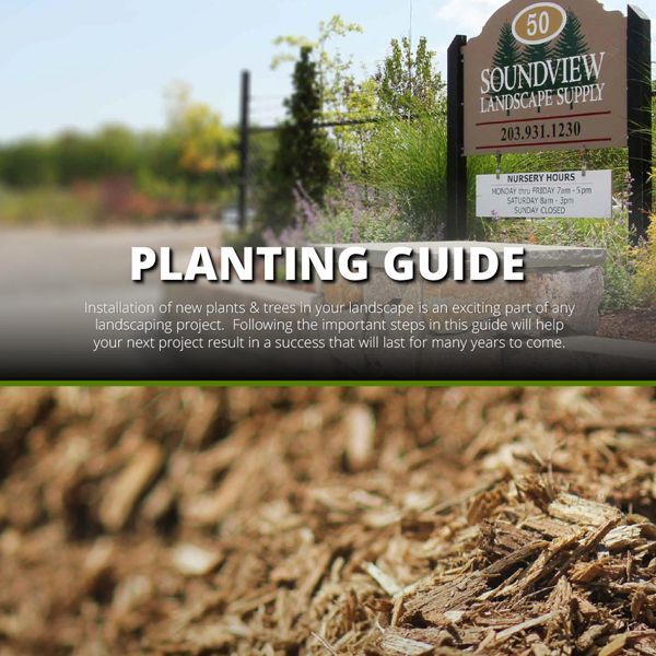 Planting guide with text overlay and Soundview Landscape Supply sign, featuring wood chips and greenery.