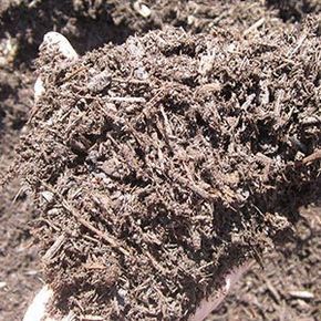 Handful of dark brown shredded wood mulch.