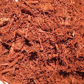 Red dyed shredded bark mulch.