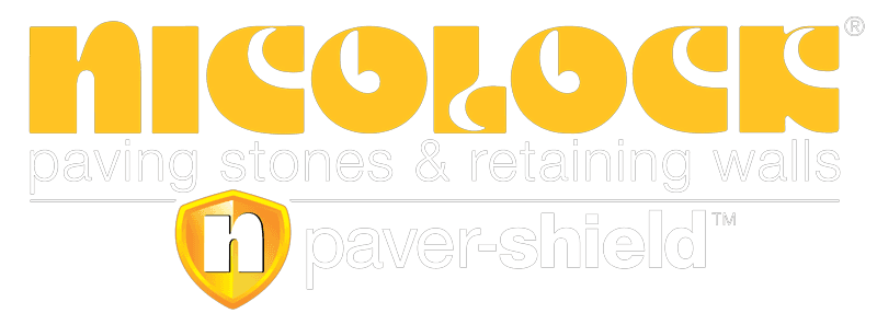 NicLoco logo with text 