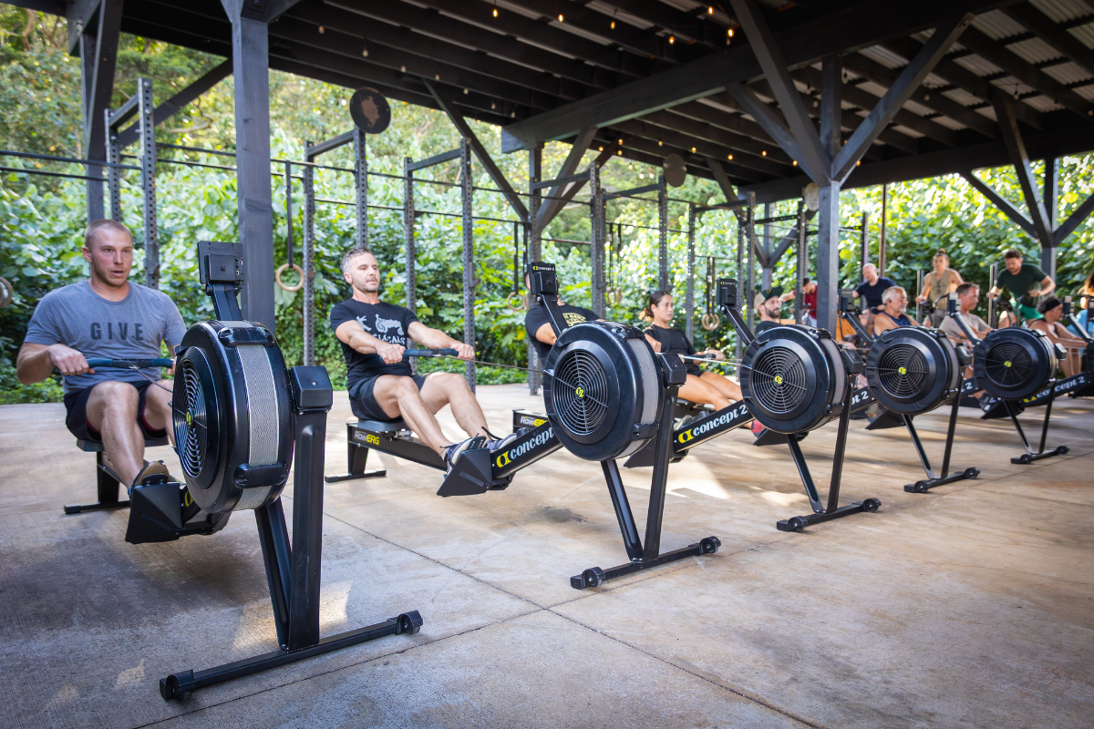Rowers exercising on rowing machines in an open-air gym pavilion
