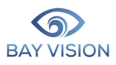 The logo for bay vision is a blue eye with a wave in the middle.