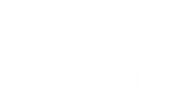Bay Vision Optometry logo