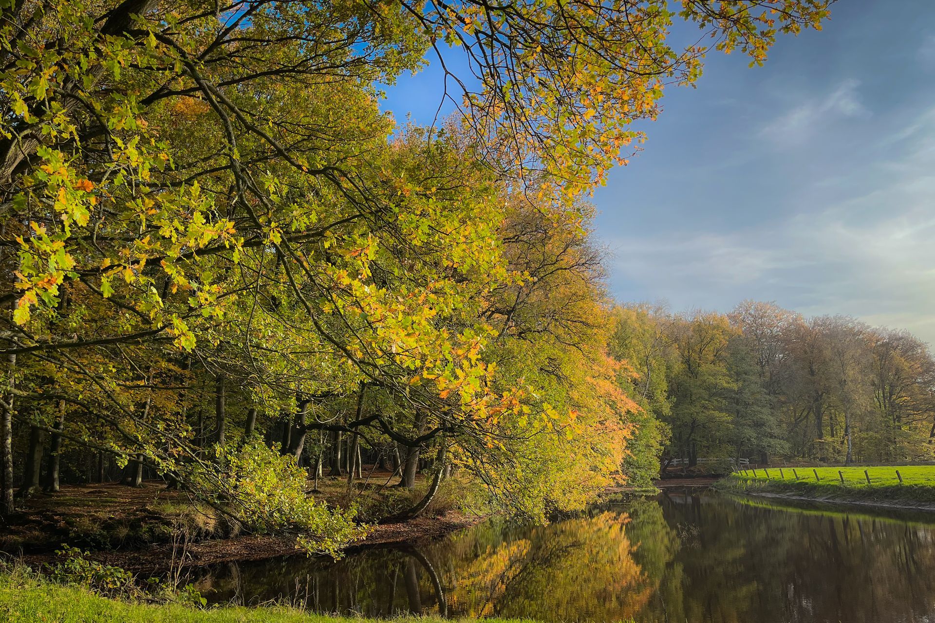 Herfstbomen met geelgroene bladeren weerspiegelen zich in het donkere water onder een blauwe hemel.