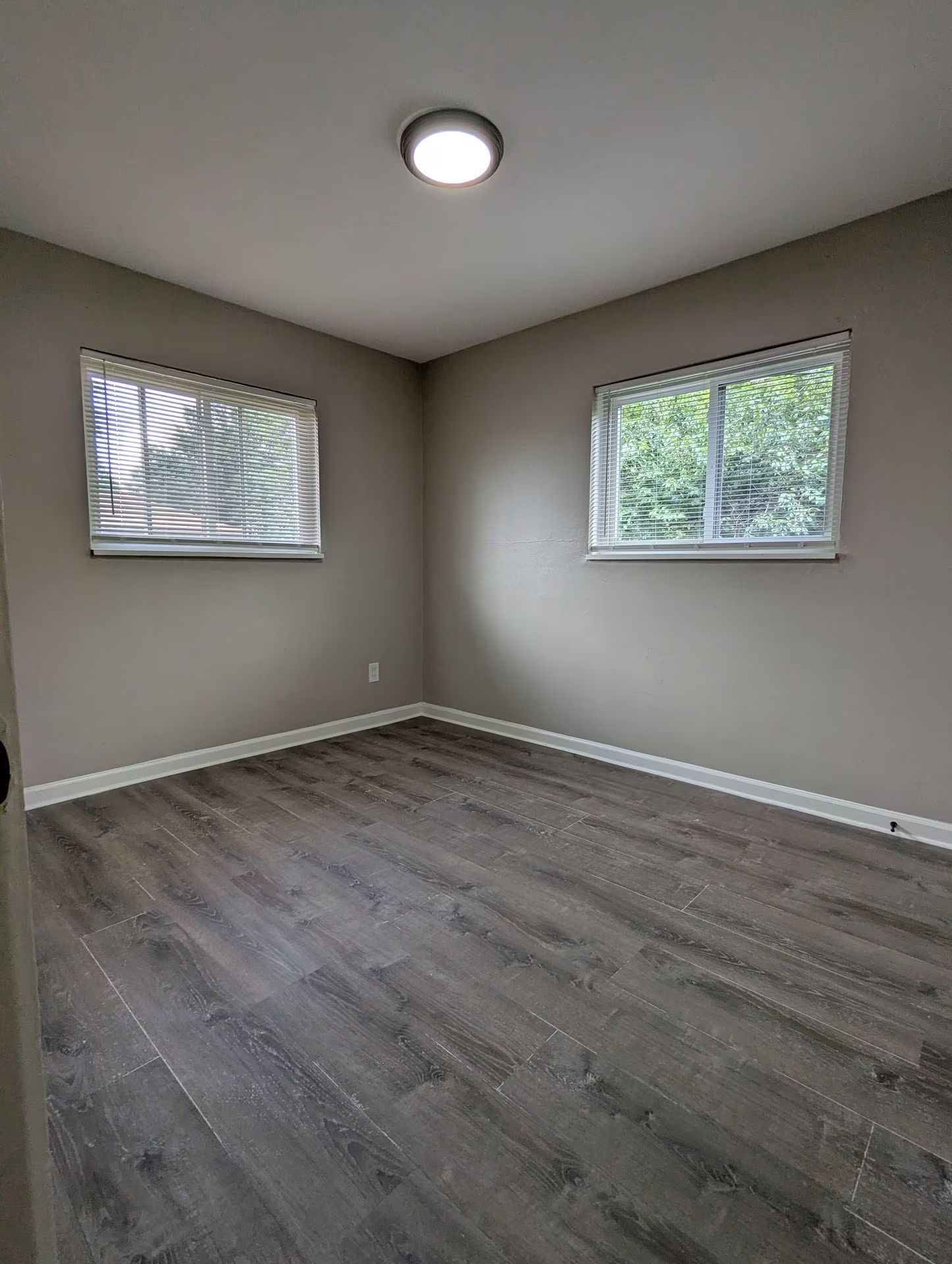 Empty gray bedroom with two windows, wood-look flooring, and a ceiling light
