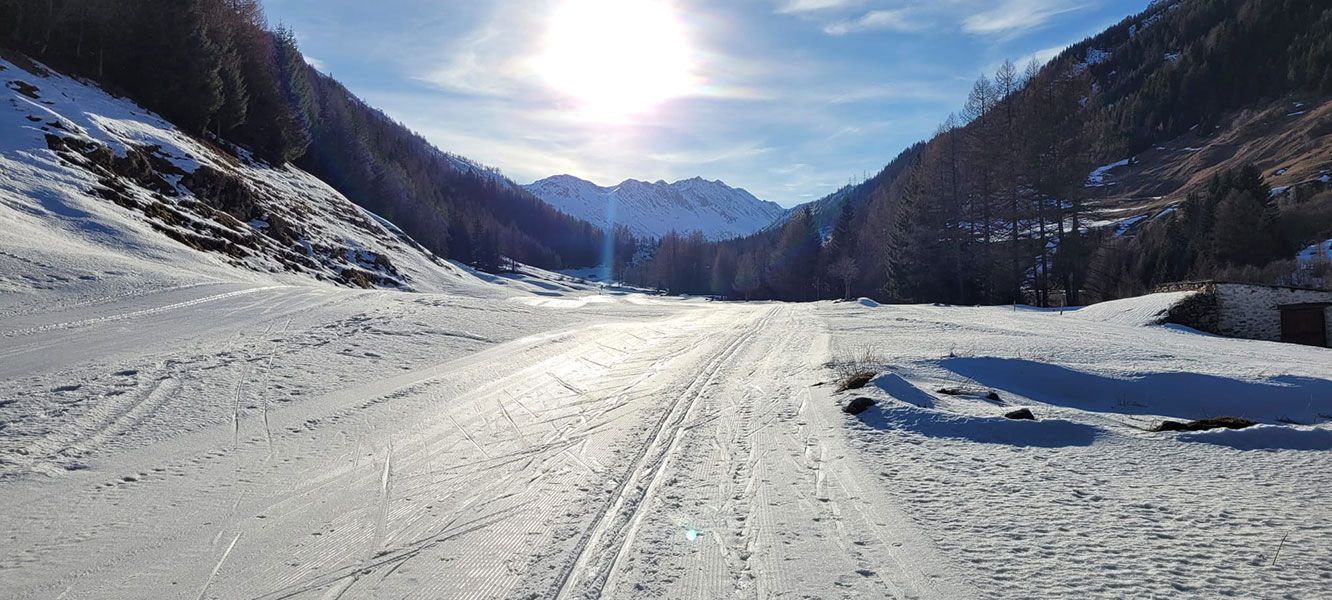 Pista di fondo