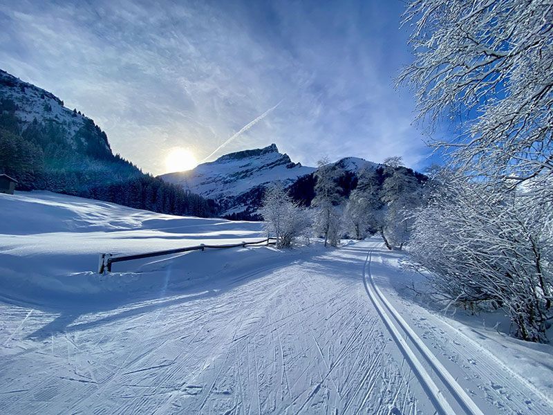 Pista di fondo