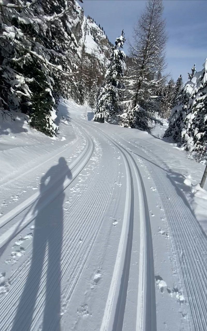 Pista di fondo