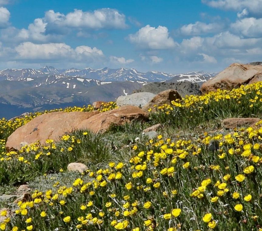 RMNPhotographer Rocky Mountain National Park Guided Tours Blog Post Things To Do In Estes Park Trail Ridge Road