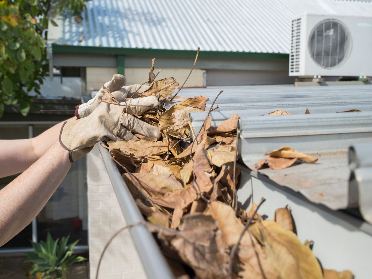 roof-cleaning-venice