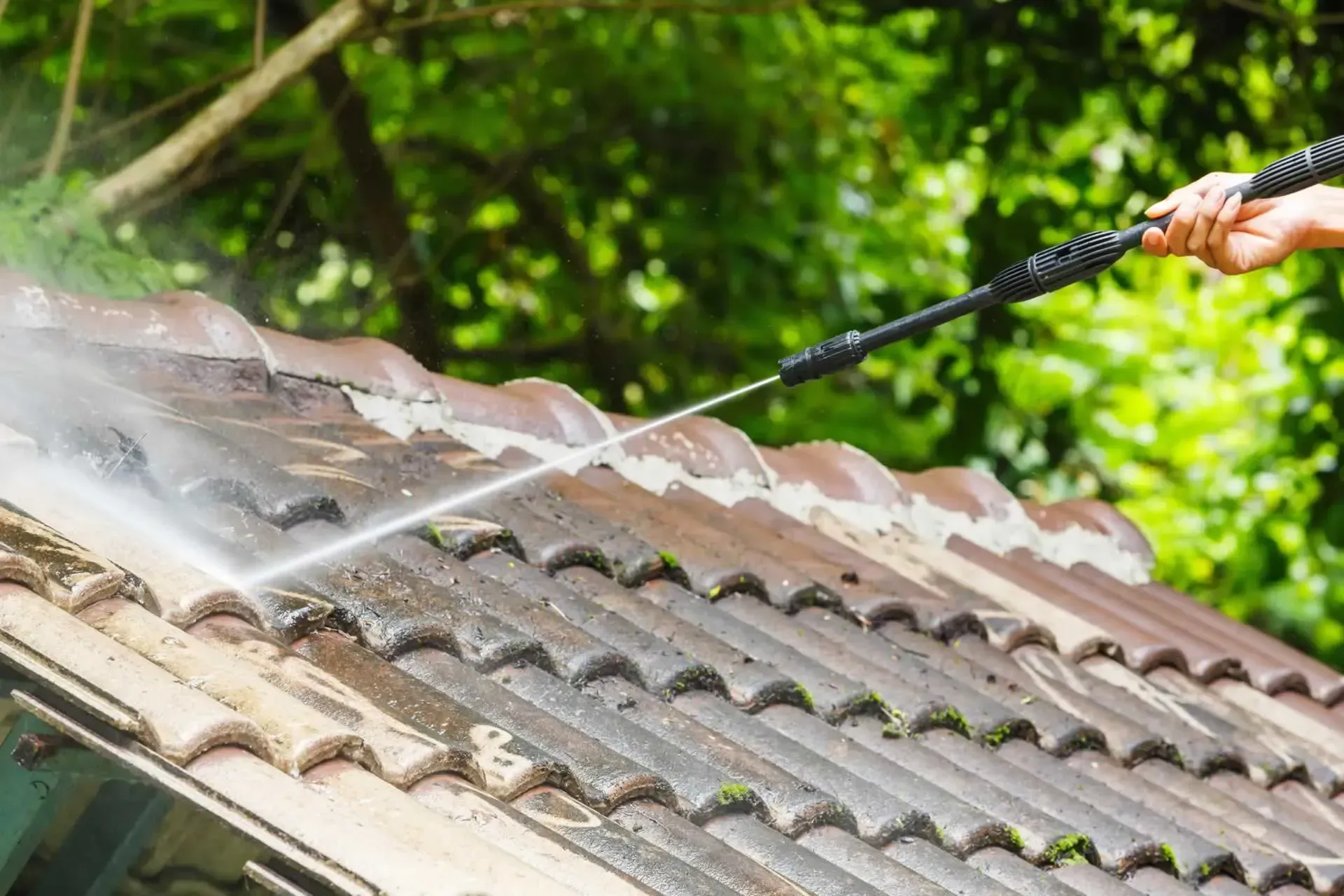 sarasota window cleaning