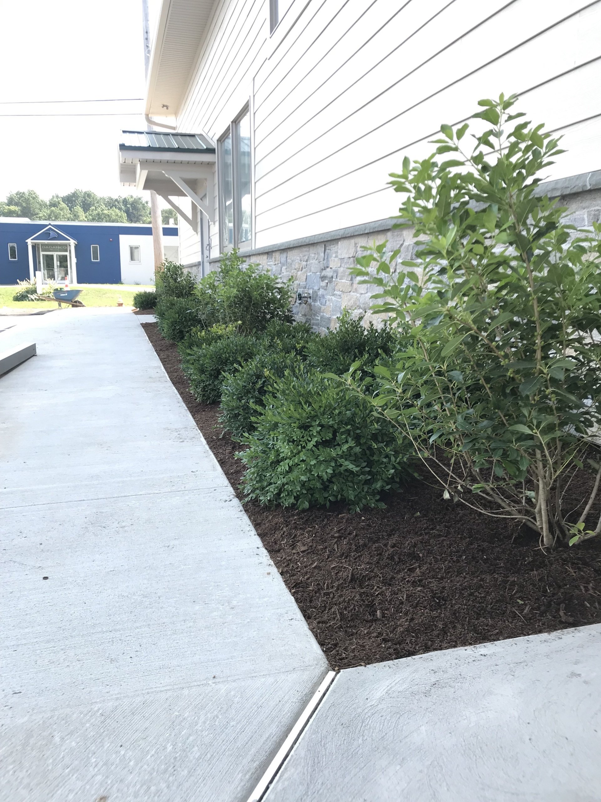 Commercial Landscape Installation Cannabis Connection Westfield