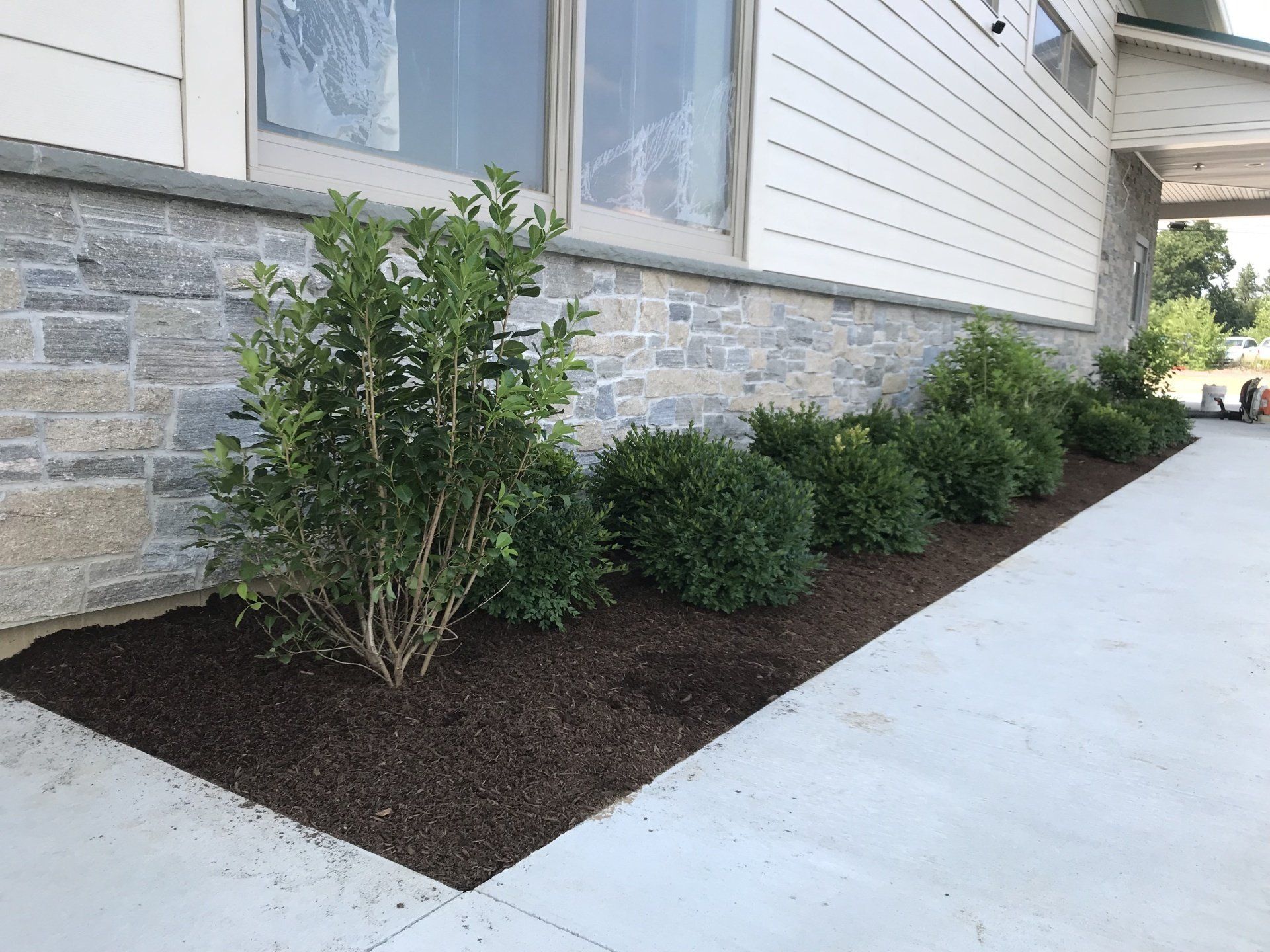 Commercial Landscape Management Services