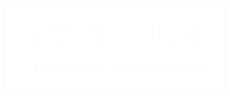 Pandolfi Landscape Construction