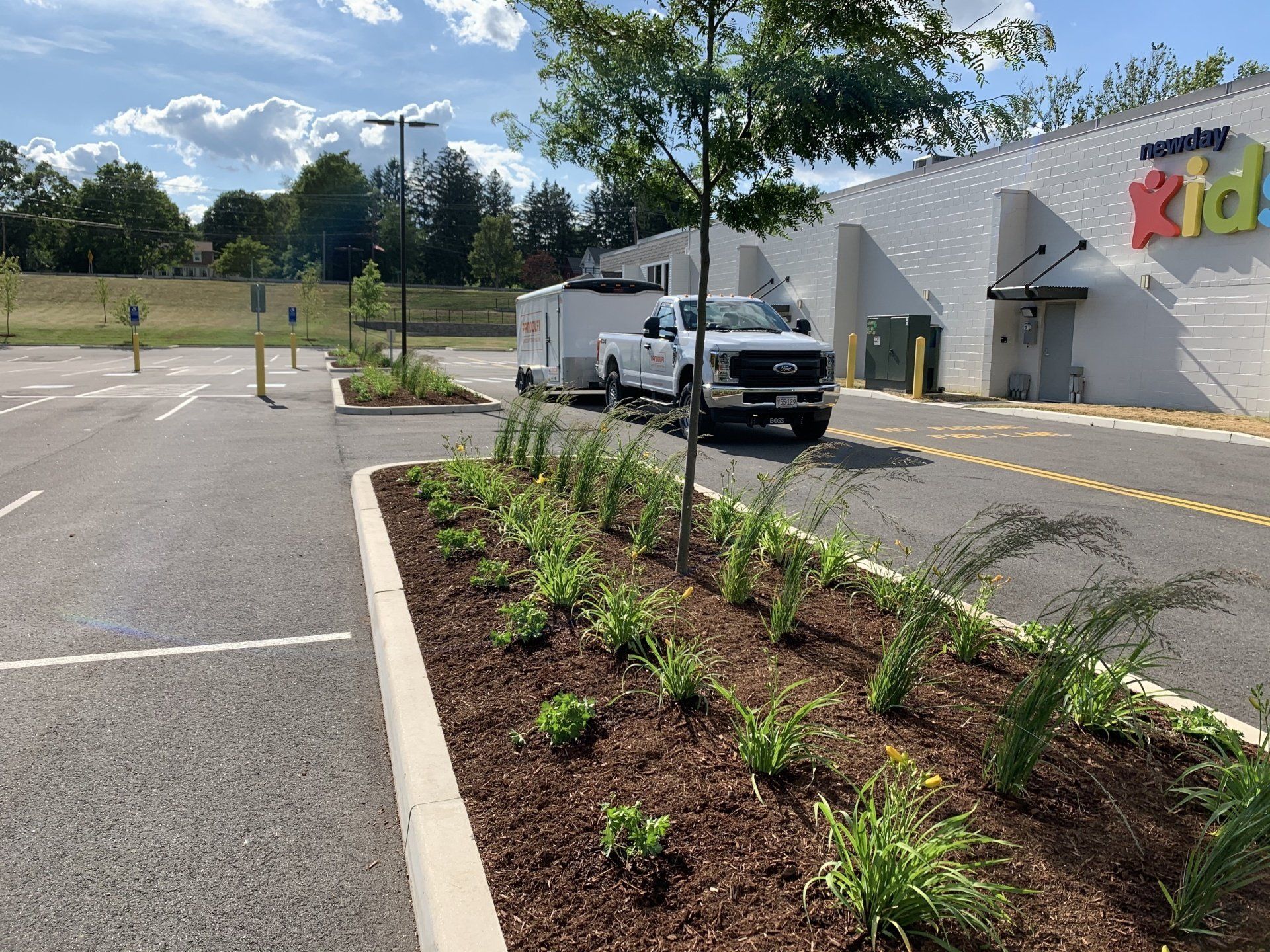 Commercial Landscape Management Services