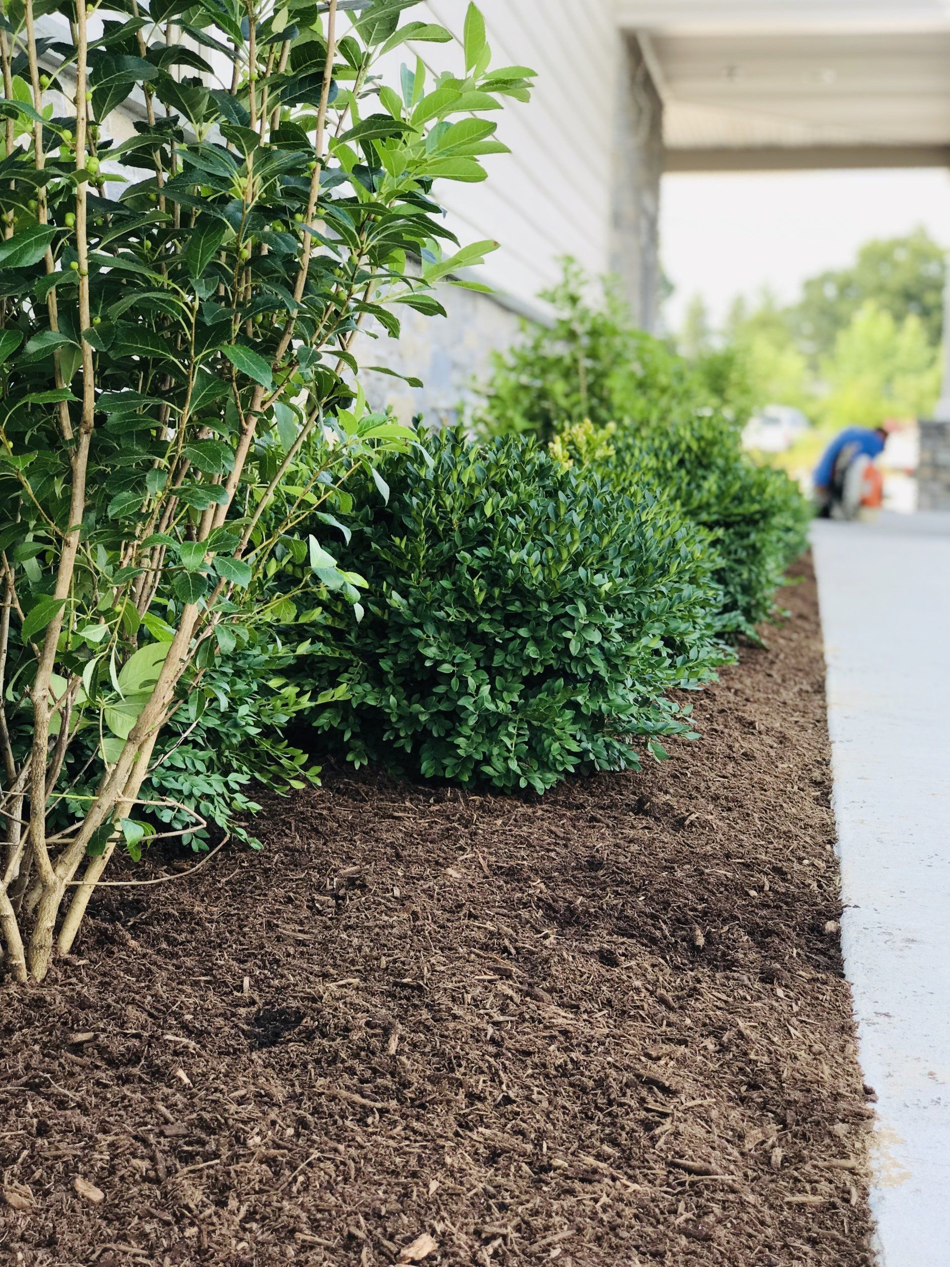 Commercial Landscaping Westfield, MA