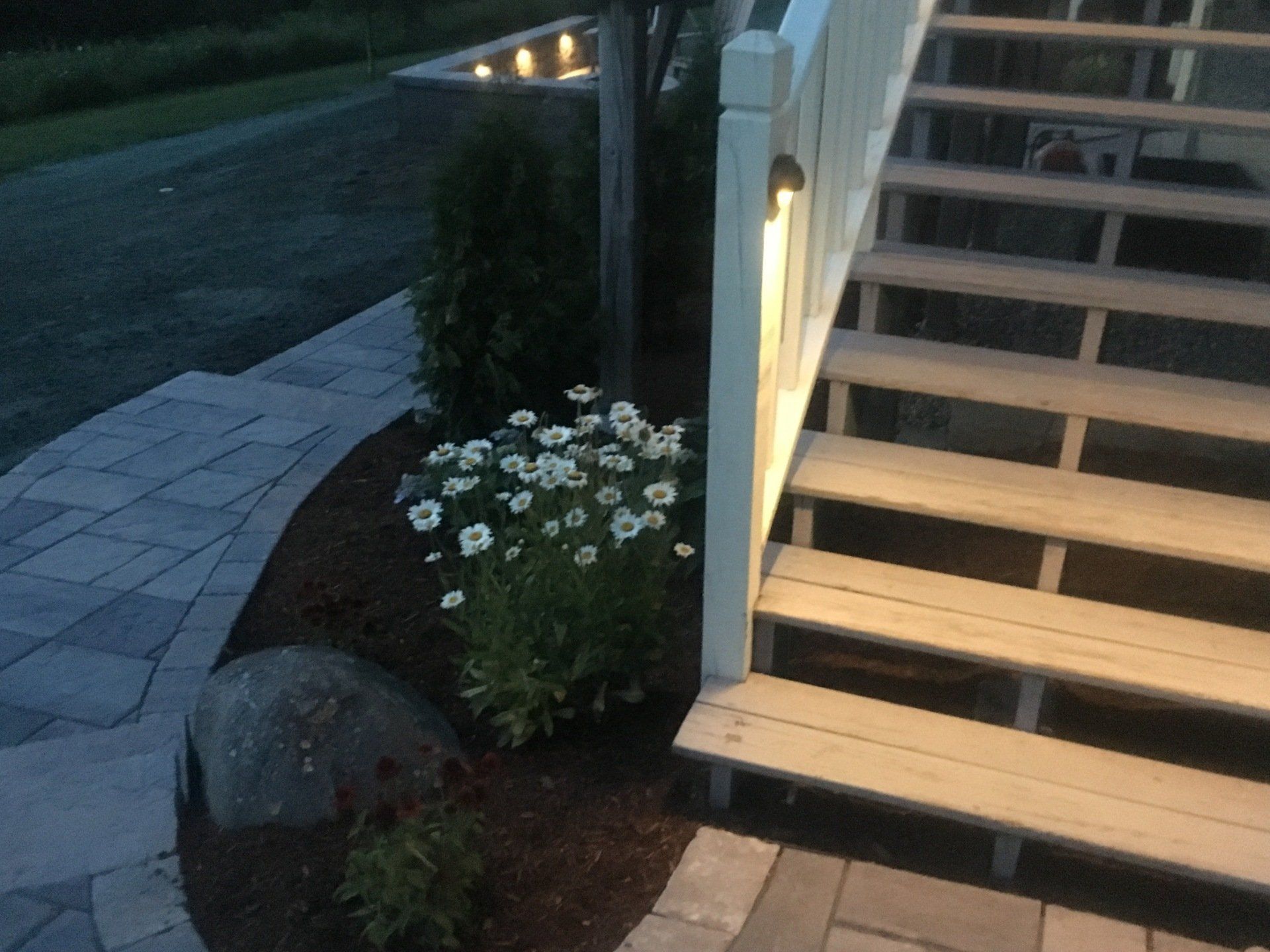 outdoor landscape lighting