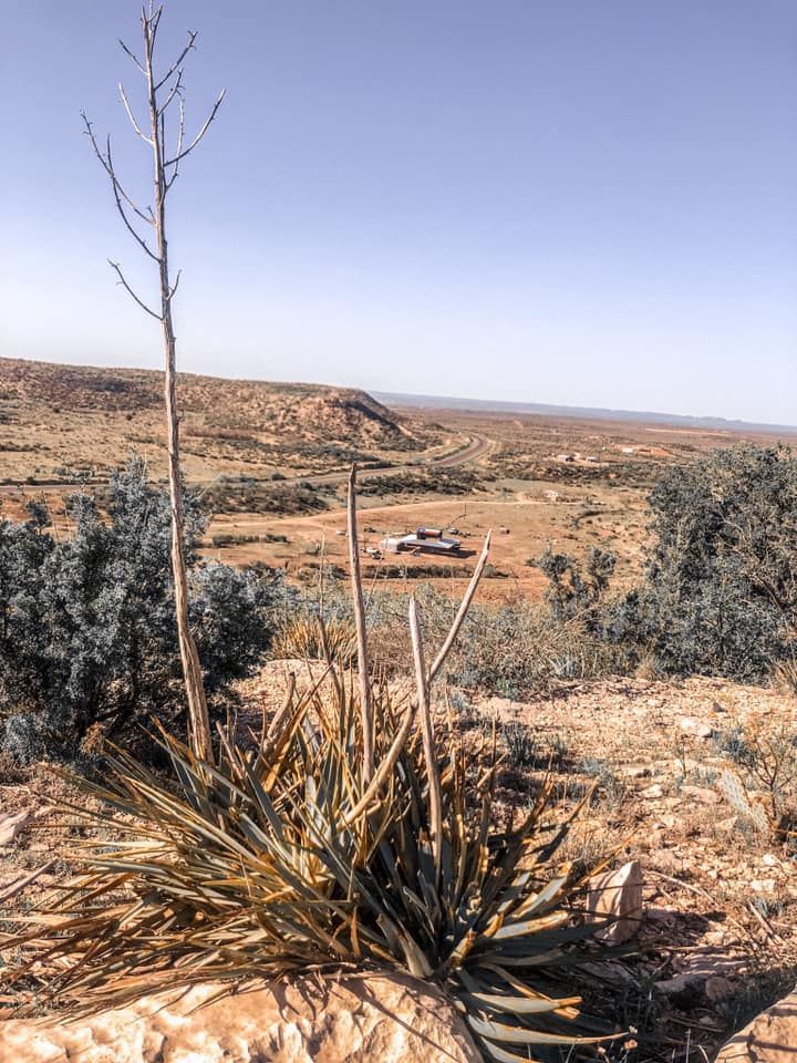 Arid desert landscape with shrubs, a lone dead tree, and a distant valley under a clear sky