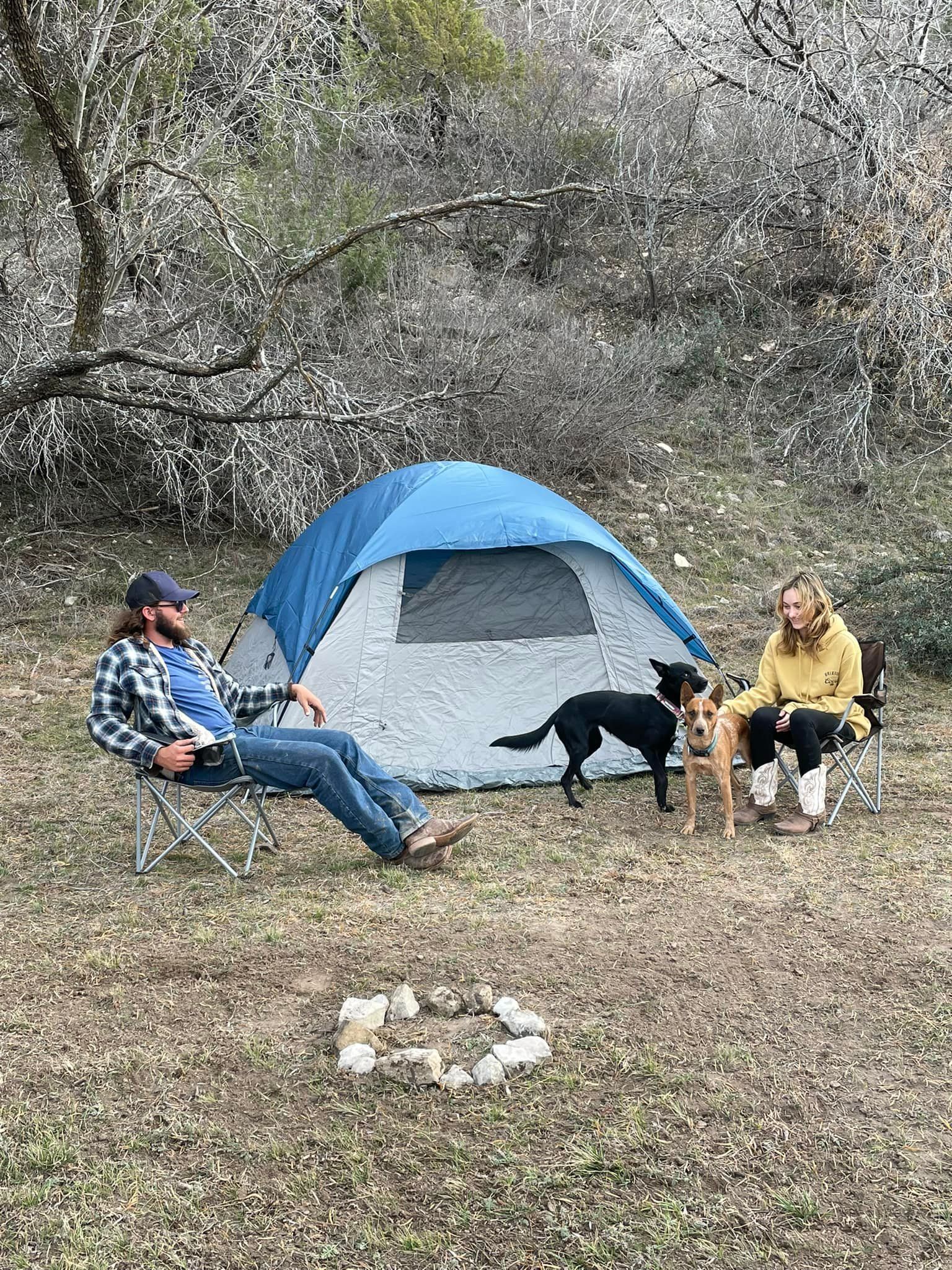 Two people camping by a blue tent with two dogs under trees in a grassy area.