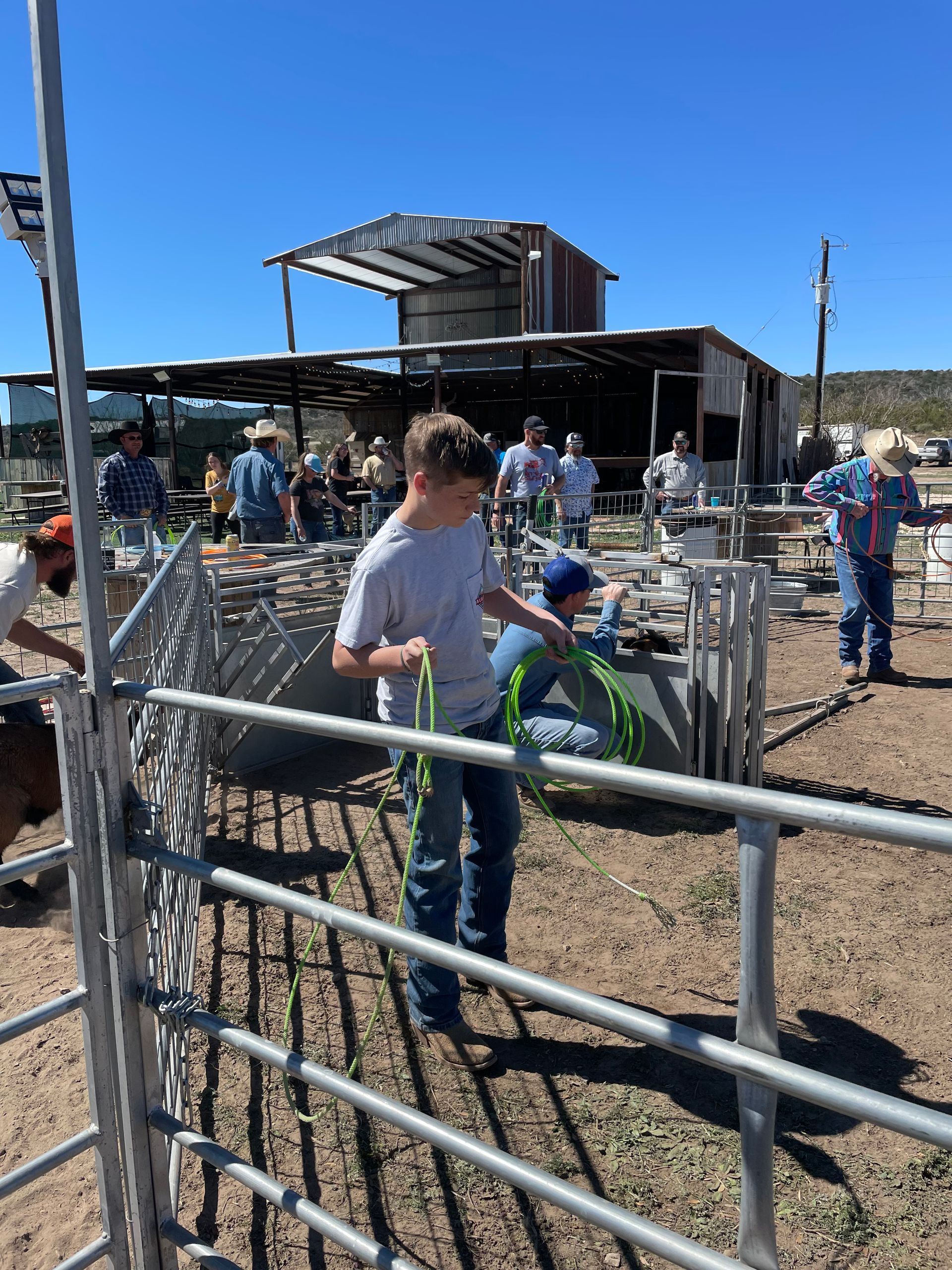 People gathered in a livestock pen at an outdoor fair, with metal fencing and a barn under a clear blue sky.