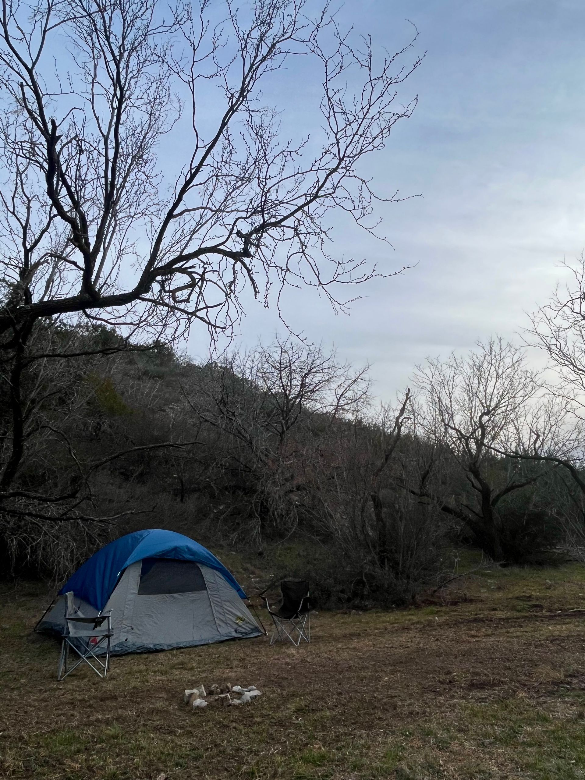 Blue tent in a wooded clearing with bare trees and cloudy sky.