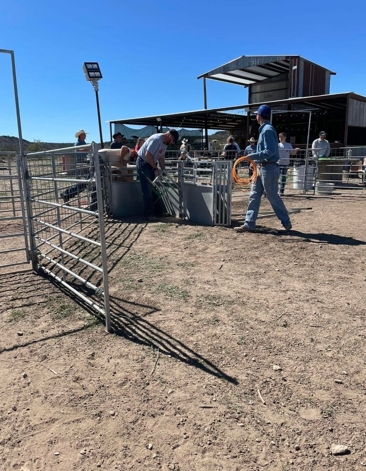 People working around livestock pens on a sunny, dusty ranch with a barn in the background