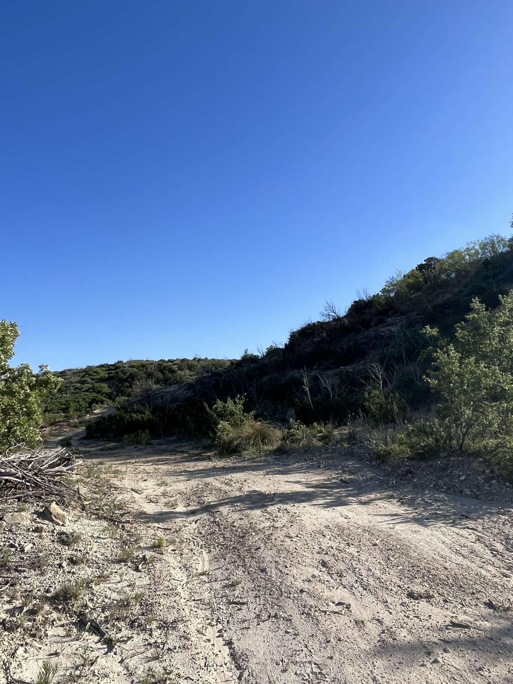 Dirt trail through scrubby hills under a clear blue sky