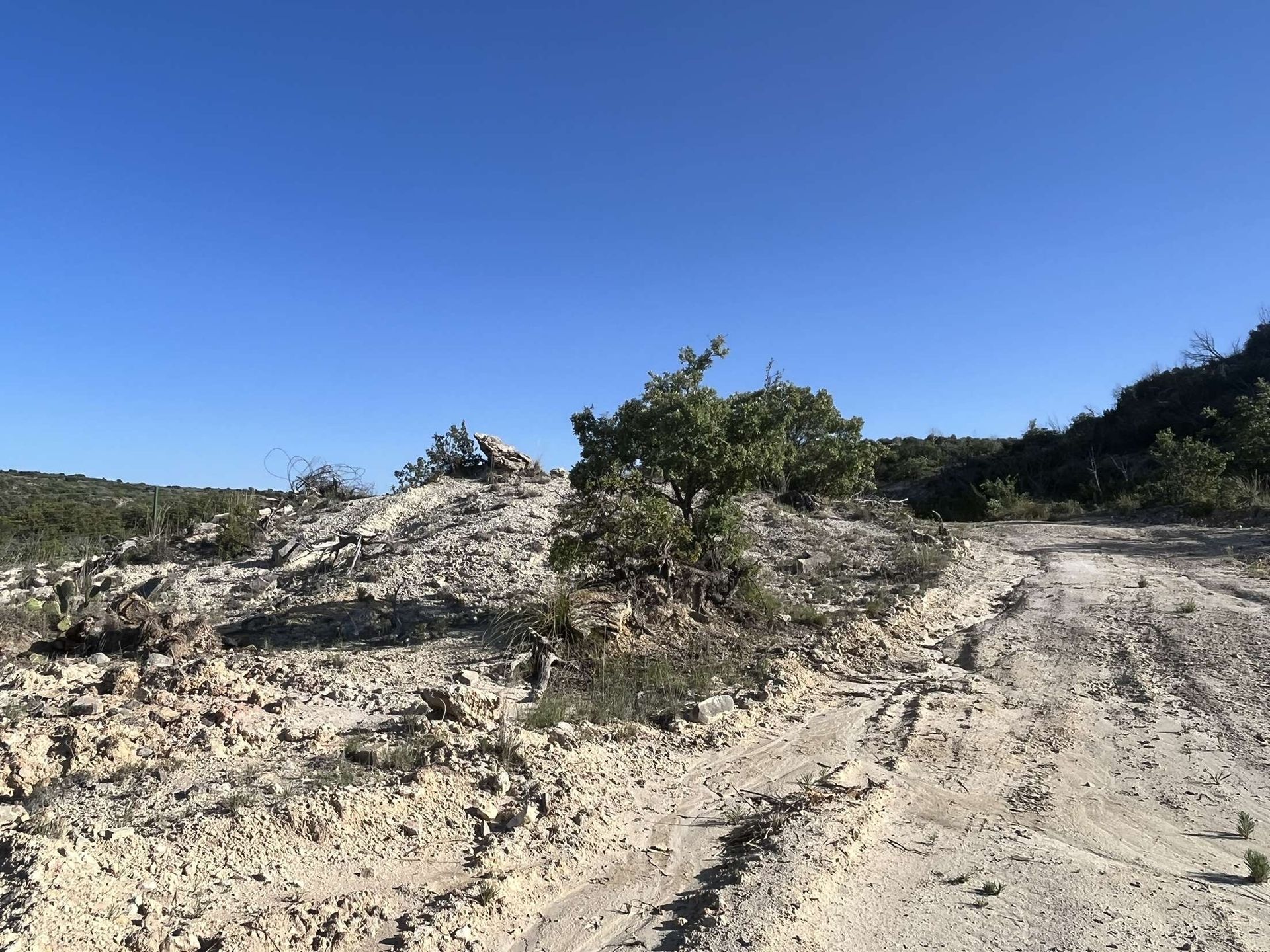 Sandy dirt road beside low shrubs under a clear blue sky