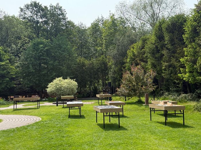 Trawiasty park na świeżym powietrzu z kilkoma stołami piknikowymi i drzewami w jasnym słońcu
