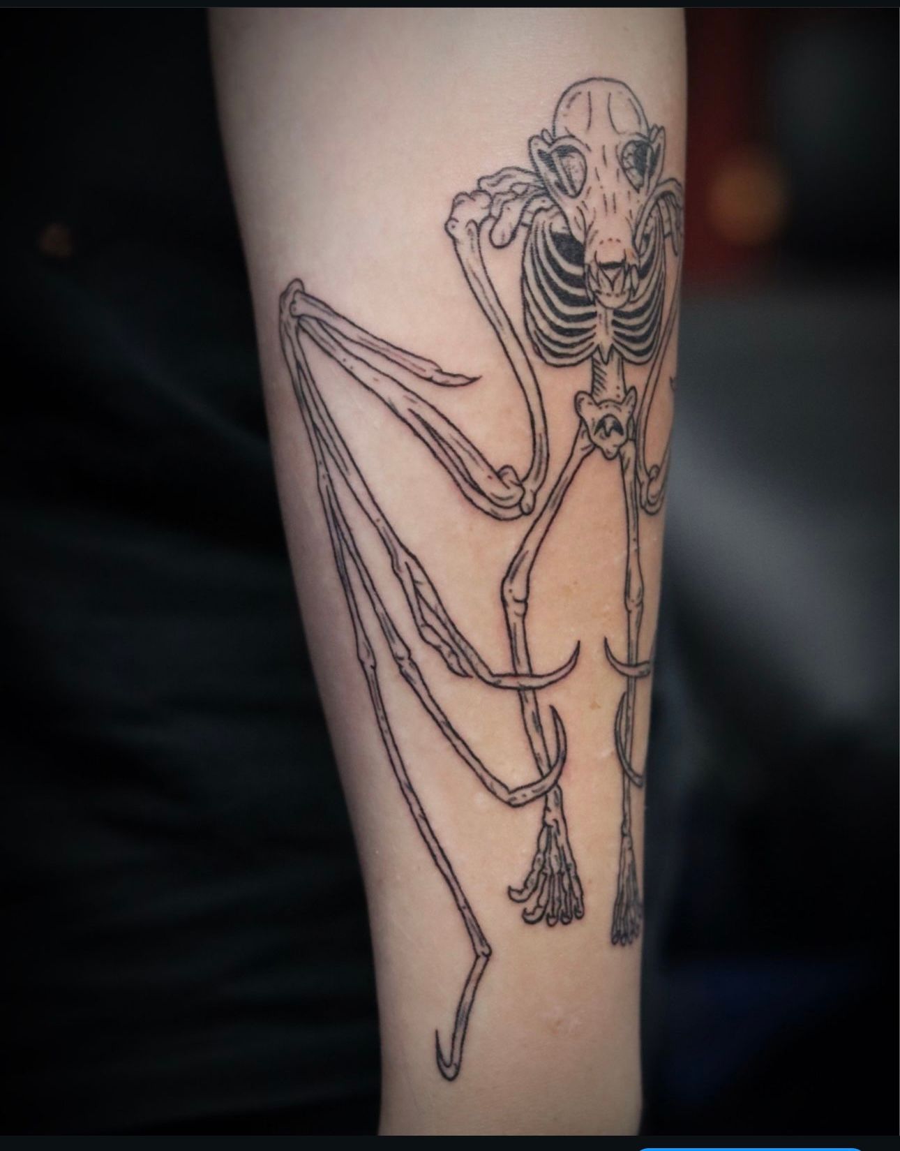 A tattoo of a skeleton on a person 's leg