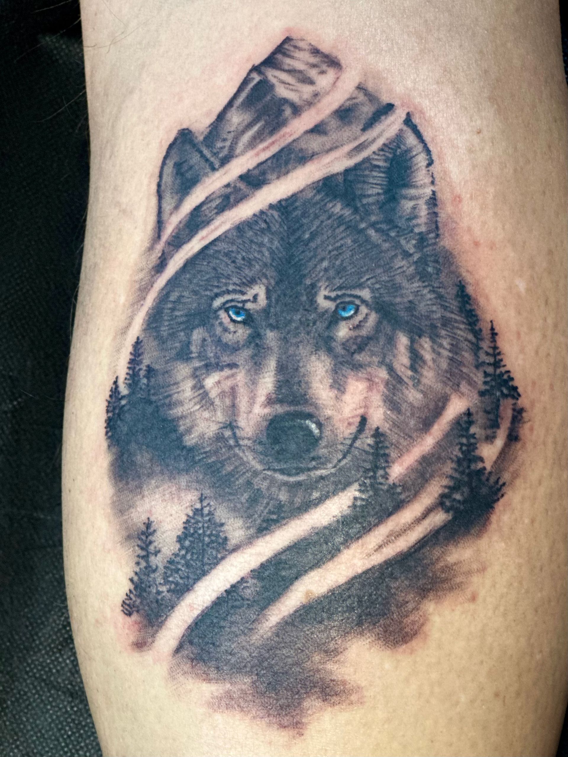 A tattoo of a wolf on a person 's leg