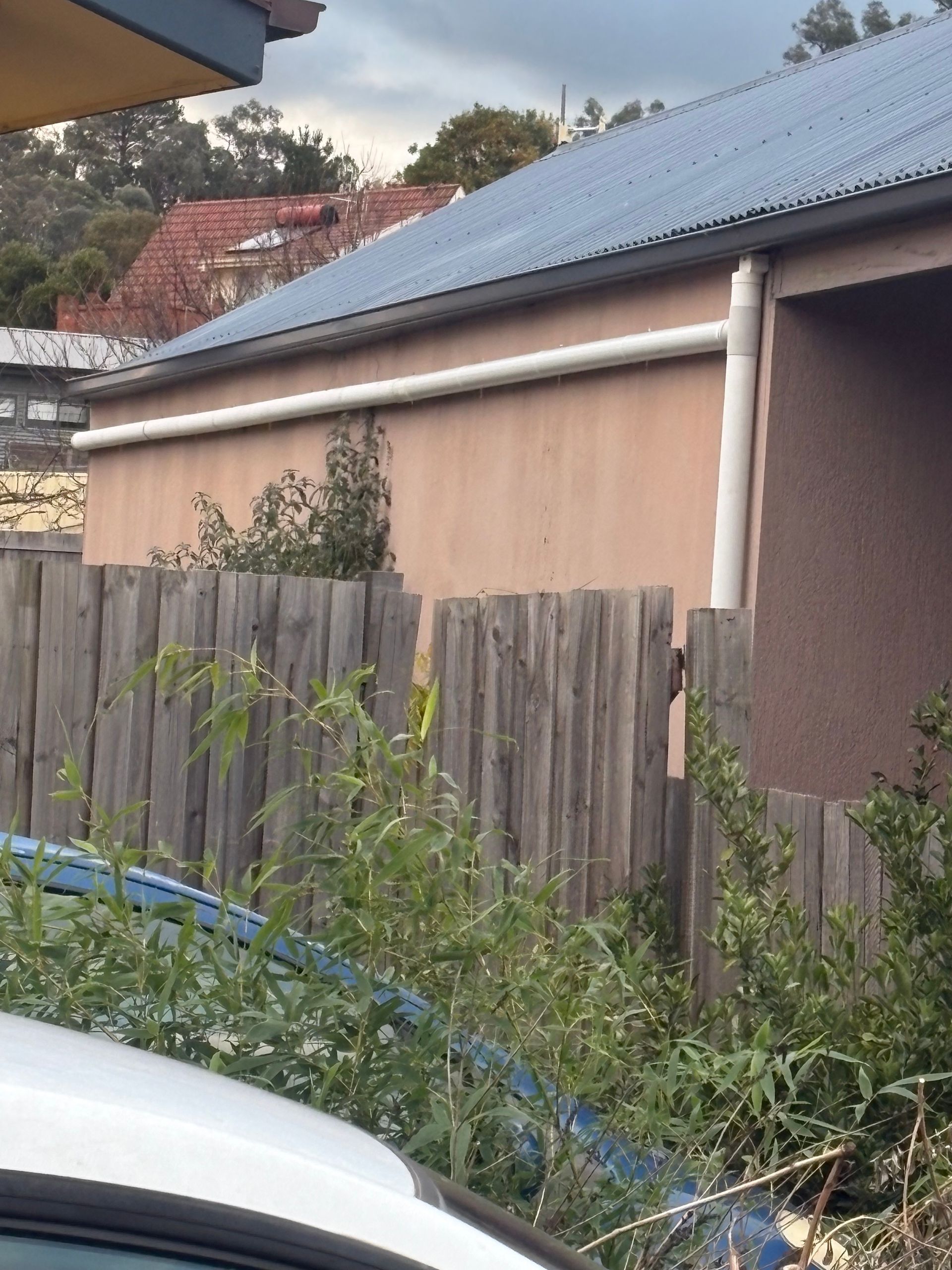 Weathered wooden fence in front of a peach house with a blue roof and overgrown garden weeds